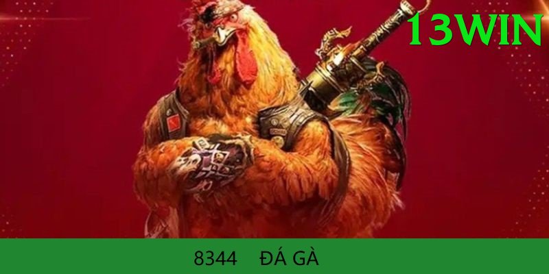 Đá Gà Trực Tiếp - 13win - Tài khoản