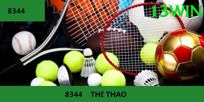 Cá Cược Thể Thao - 13win - Giải đấu